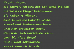 a04_Text