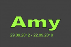 c01_Amy