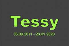 d01_Tessy