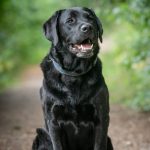 SAM 11.06.2017- 09.01.2026